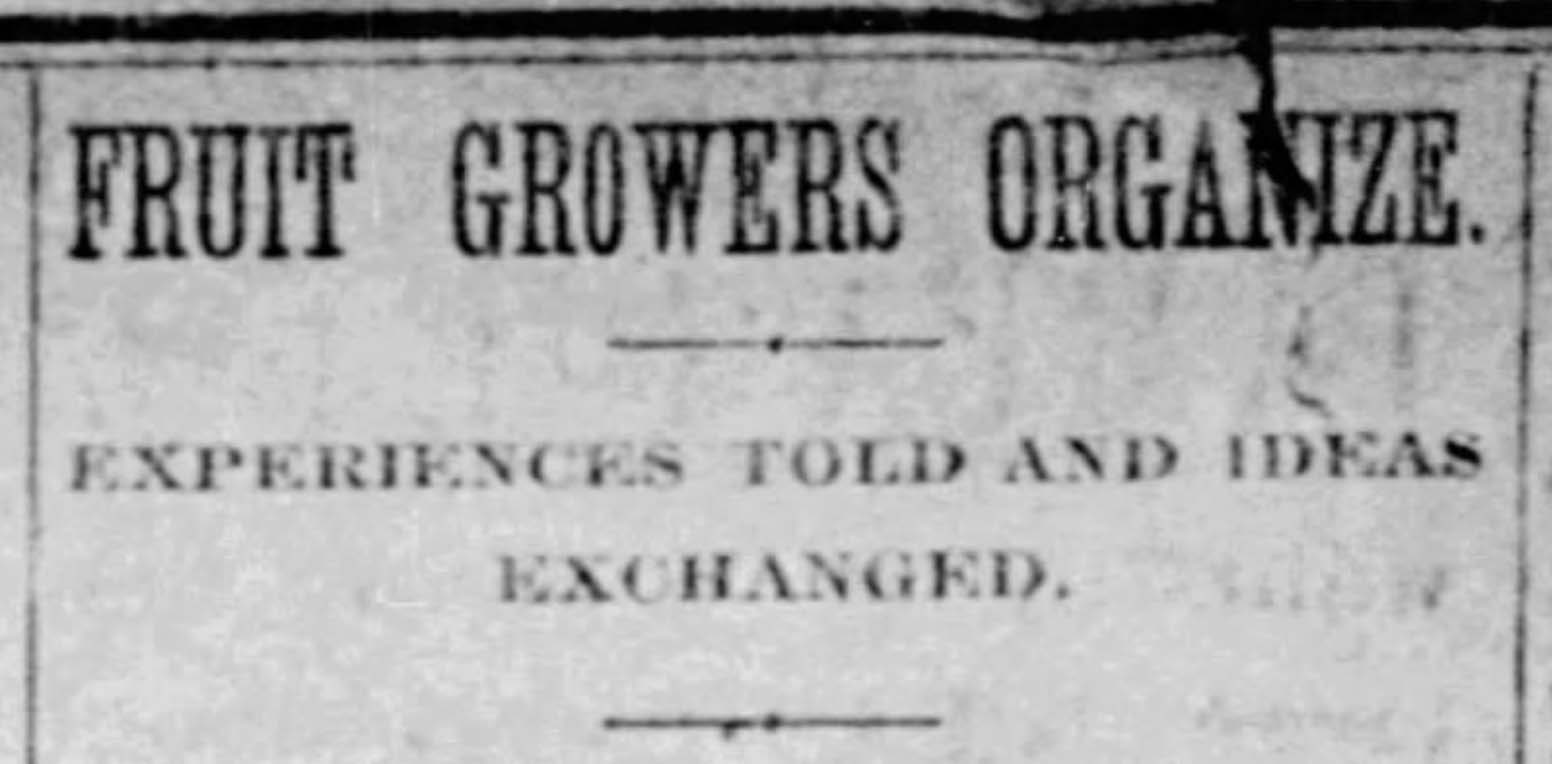Hillsborough County Growers and Shippers Association